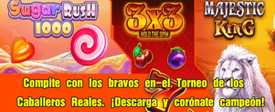 Sorteos online rápidos y seguros 🏆